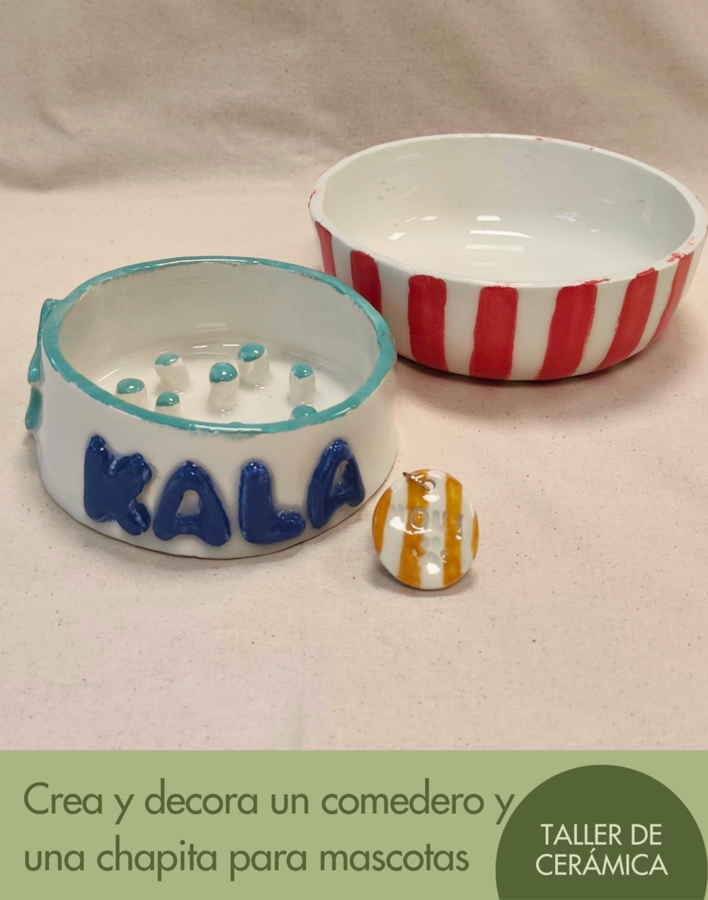 Crea y decora un comedero y una chapita para mascotas